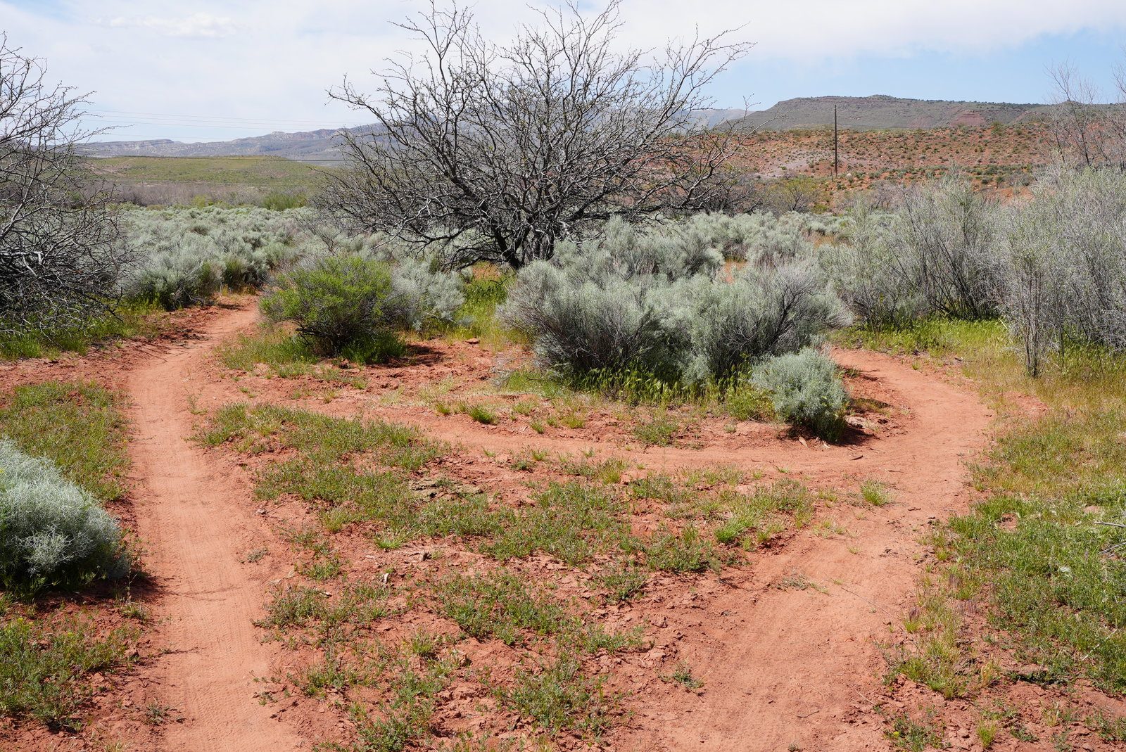 Dry Wash Ivins Utah Update